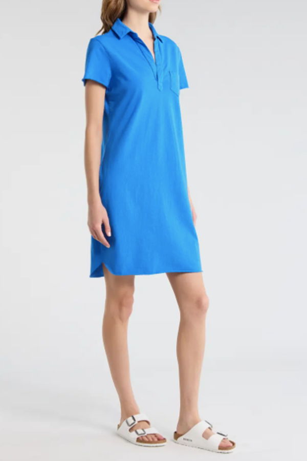 Frank & Eileen Lauren Polo Dress