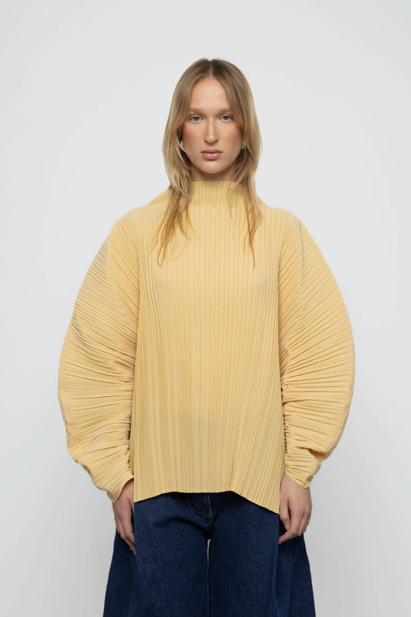 Esthé Sculpted Pleated High Neck Top