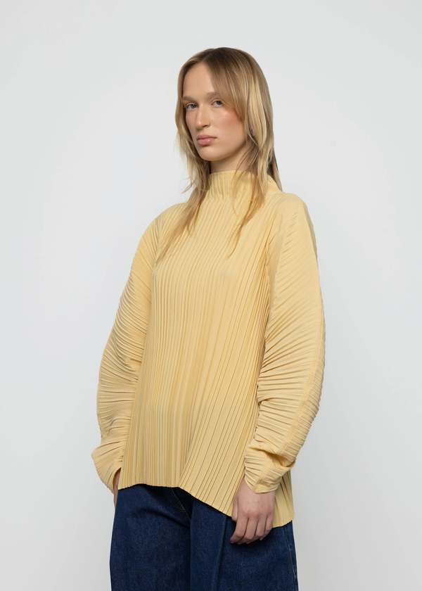 Esth Sculpted Pleated High Neck Top