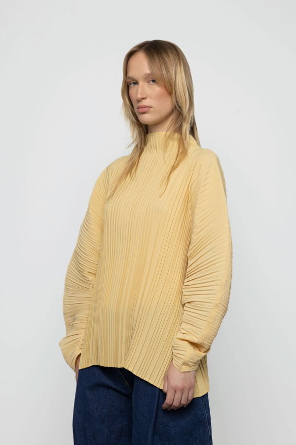 Esthé Sculpted Pleated High Neck Top