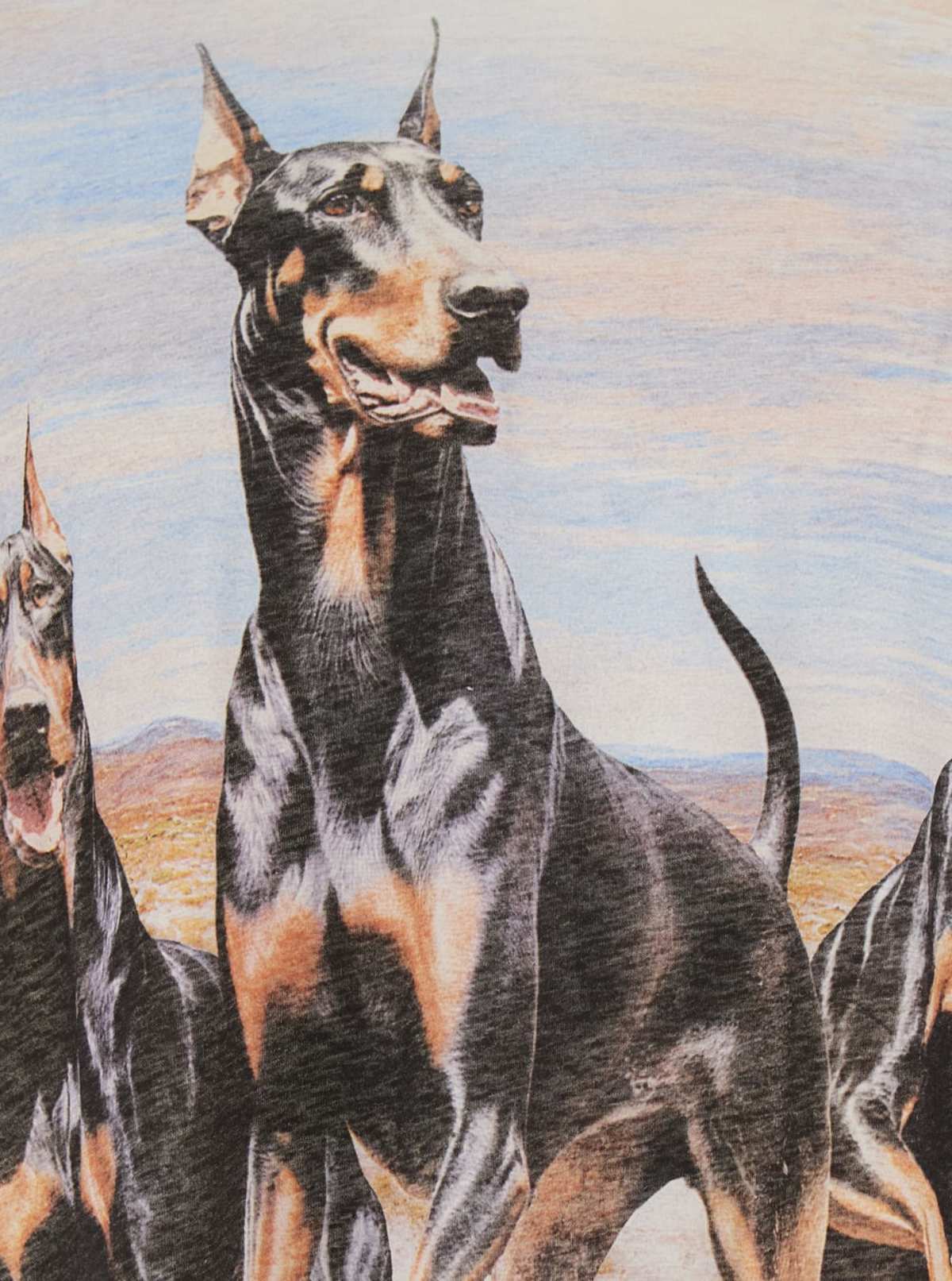 Represent Wester Dobermans T-Shirt - White - Image 3 of 3