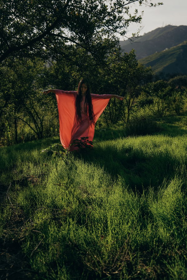 My Store Cosmos Dress for the Ceremony of Life Dress