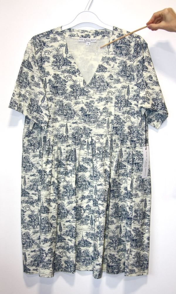 Birds of North America Citril Finch Dress Birds of North America Citril Finch Dress