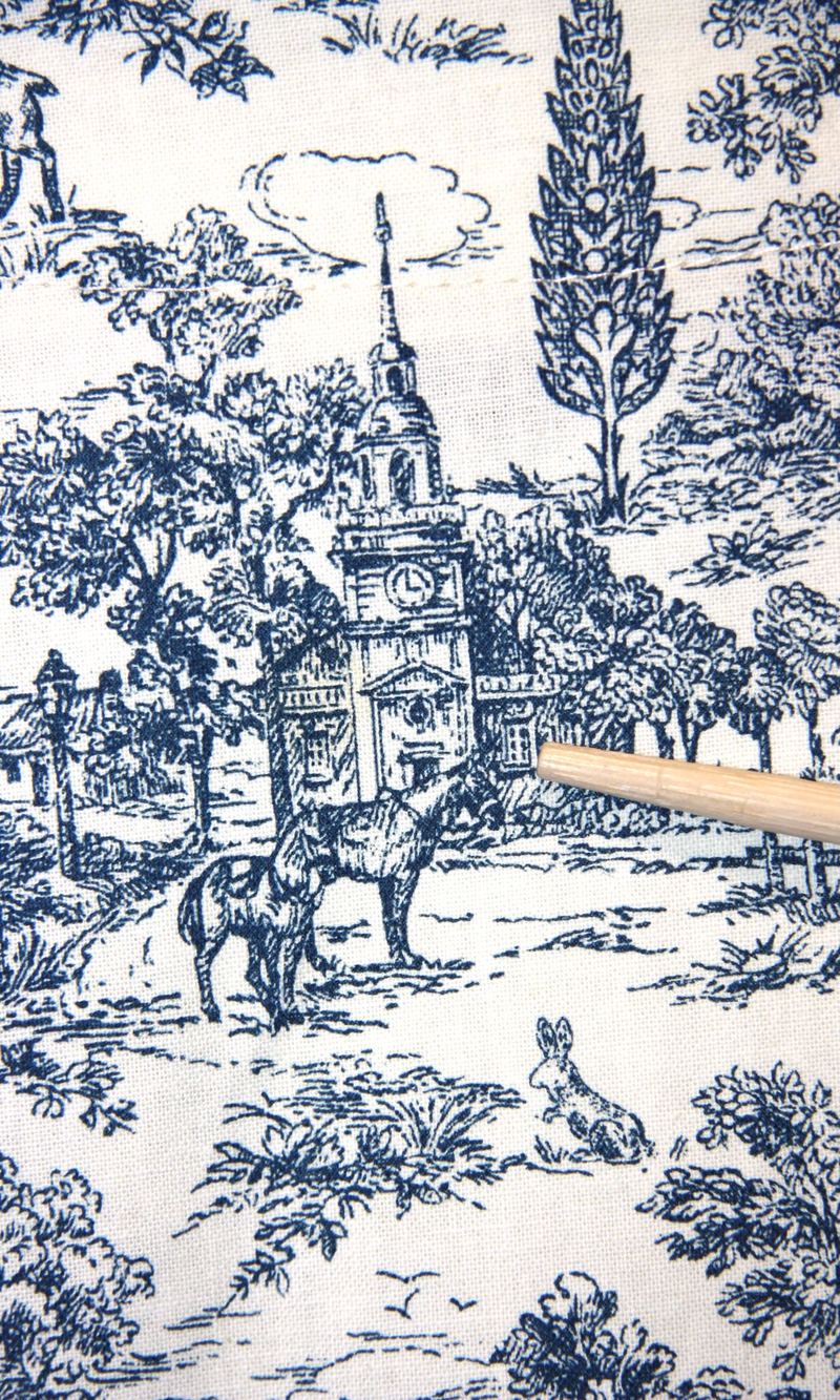 Birds of North America Citril Finch Dress