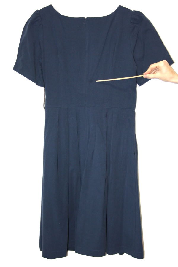 Birds of North America Crag Martin Dress