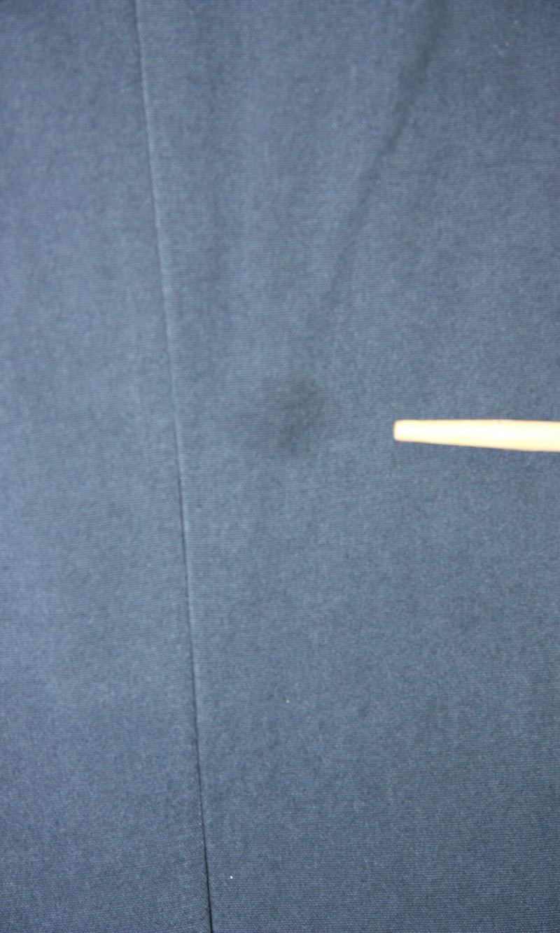 Birds of North America Crag Martin Dress