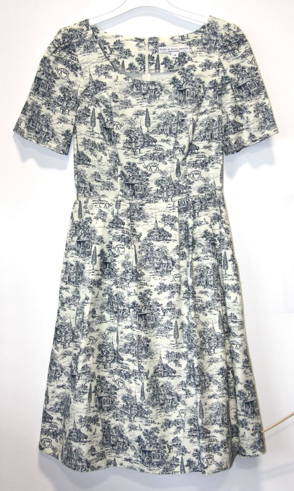 Birds of North America Winter Chippy Dress Birds of North America Winter Chippy Dress