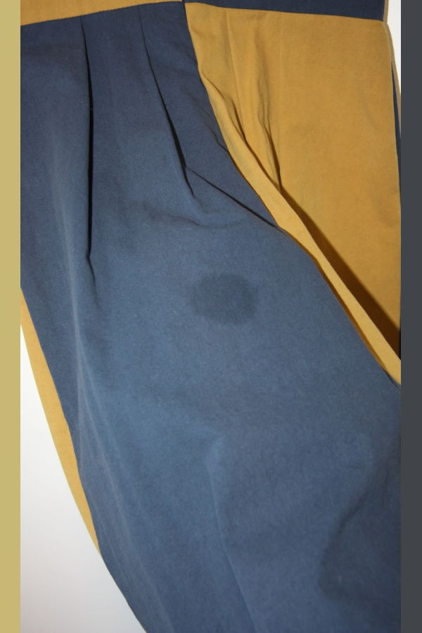 Birds of North America Bronzewing Dress