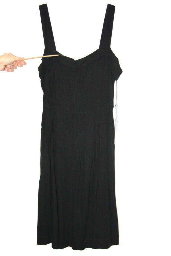 Birds of North America Thornbill Dress