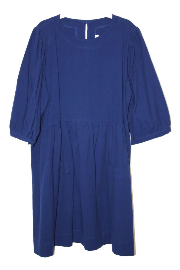 Birds of North America Flowerpiercer Dress