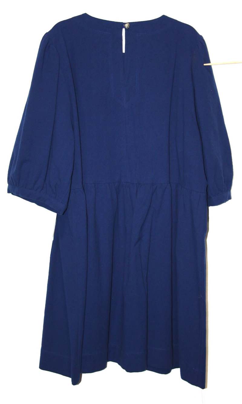 Birds of North America Flowerpiercer Dress