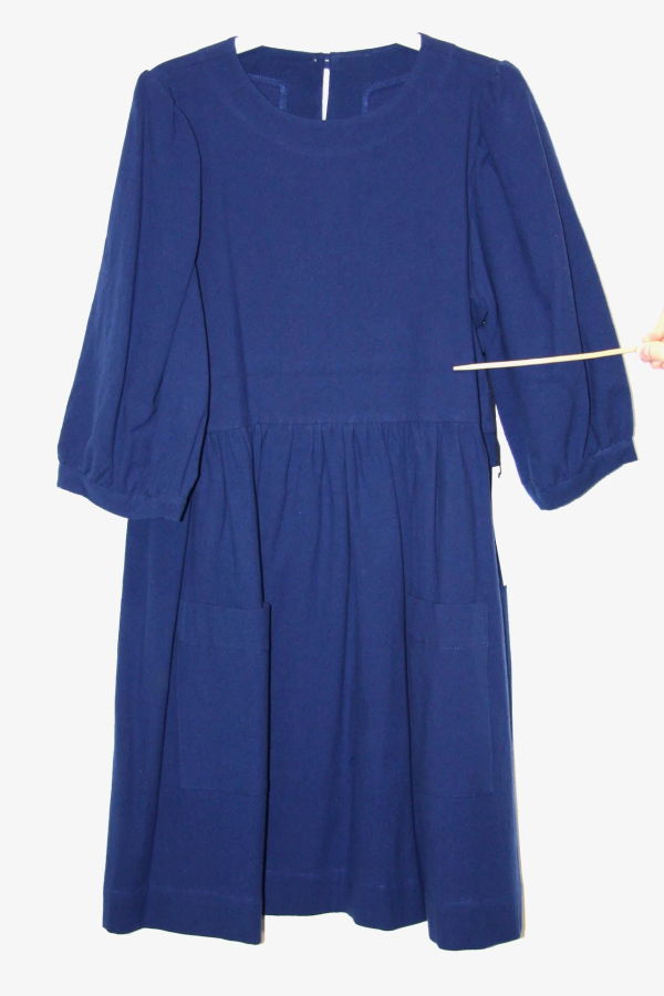 Birds of North America Flowerpiercer Dress