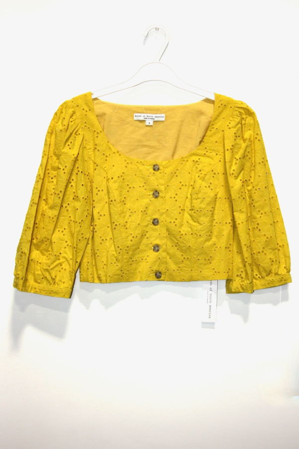 Birds of North America Esmerillon Top