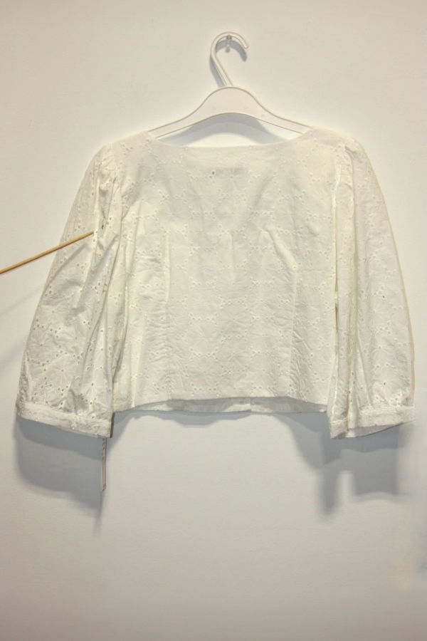 Birds of North America Esmerillon Top