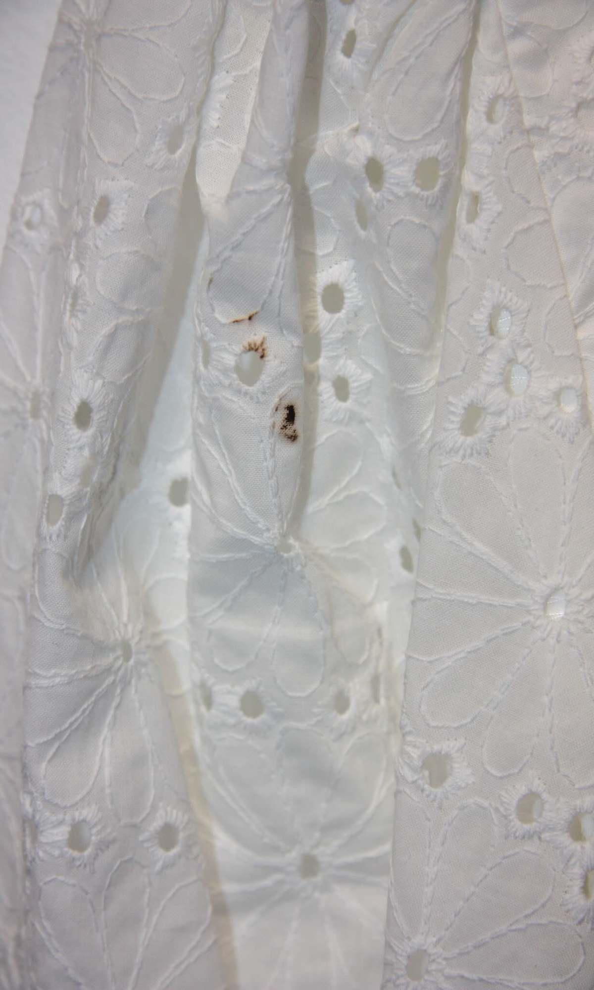 Birds of North America Esmerillon Top - Image 3 of 6