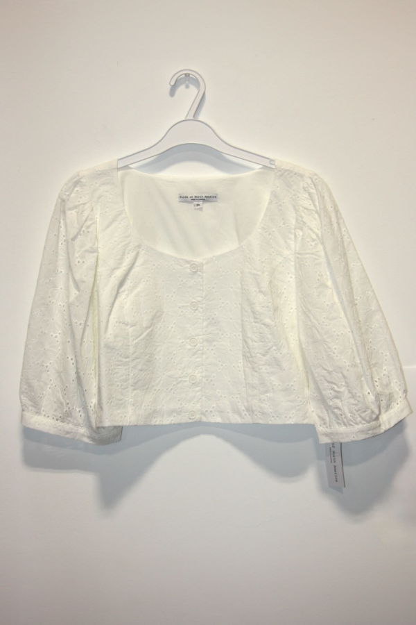 Birds of North America Esmerillon Top