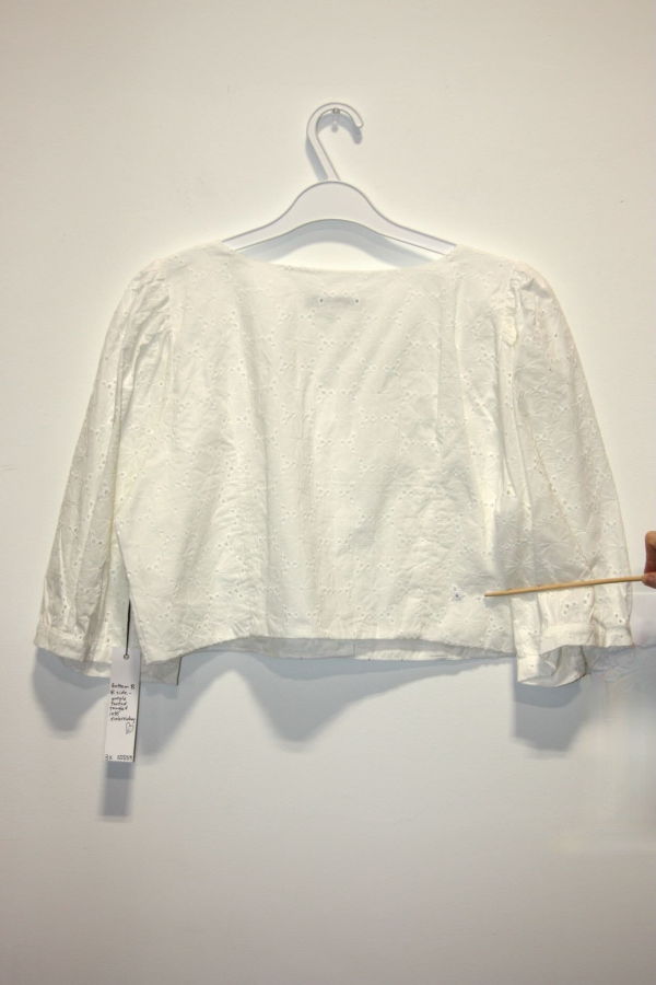 Birds of North America Esmerillon Top