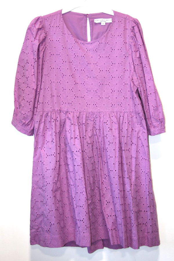 Birds of North America Bluebonnet Dress