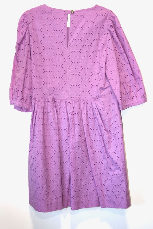 Birds of North America Bluebonnet Dress