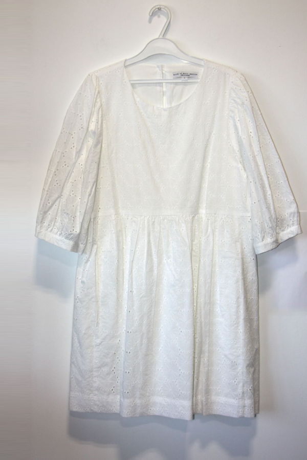 Birds of North America Bluebonnet Dress