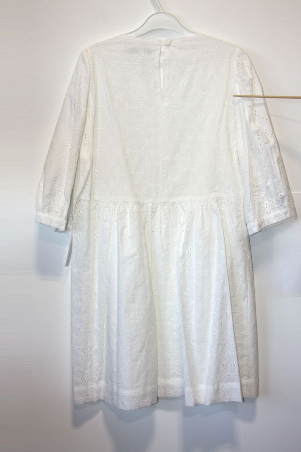 Birds of North America Bluebonnet Dress