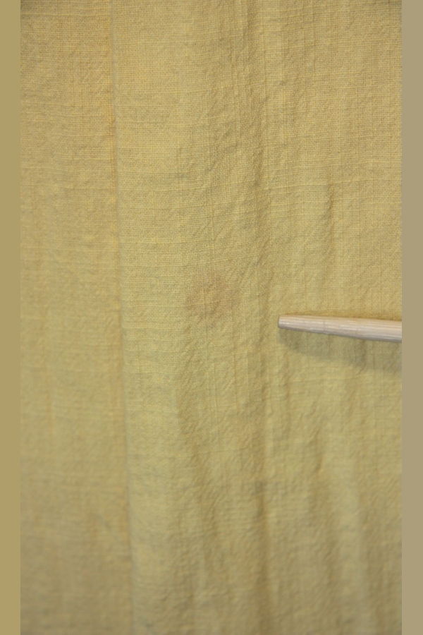 Birds of North America Marlinspike Dress