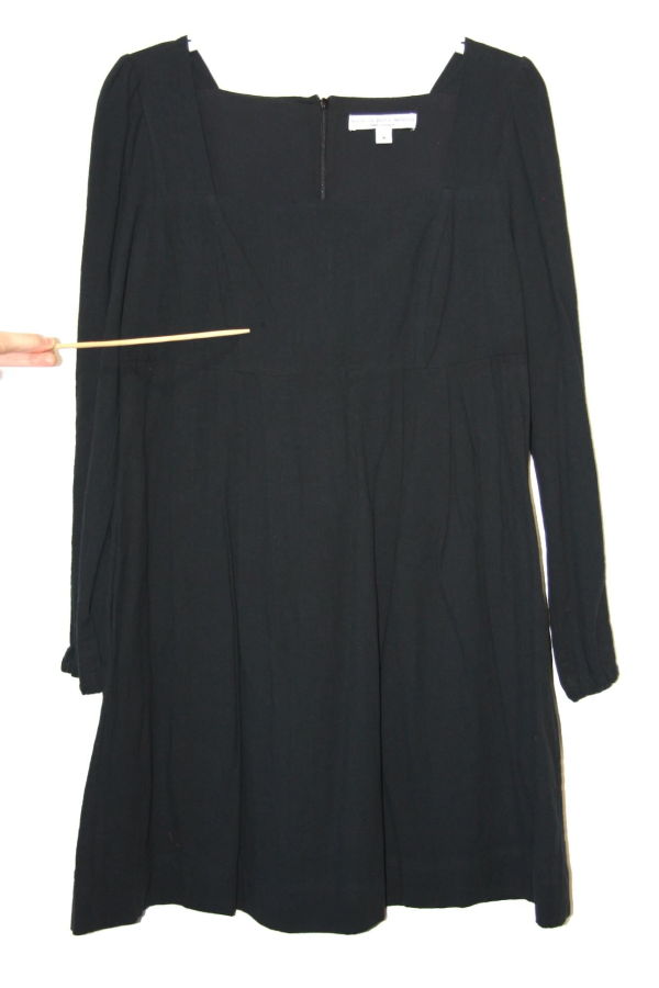 Birds of North America Marlinspike Dress