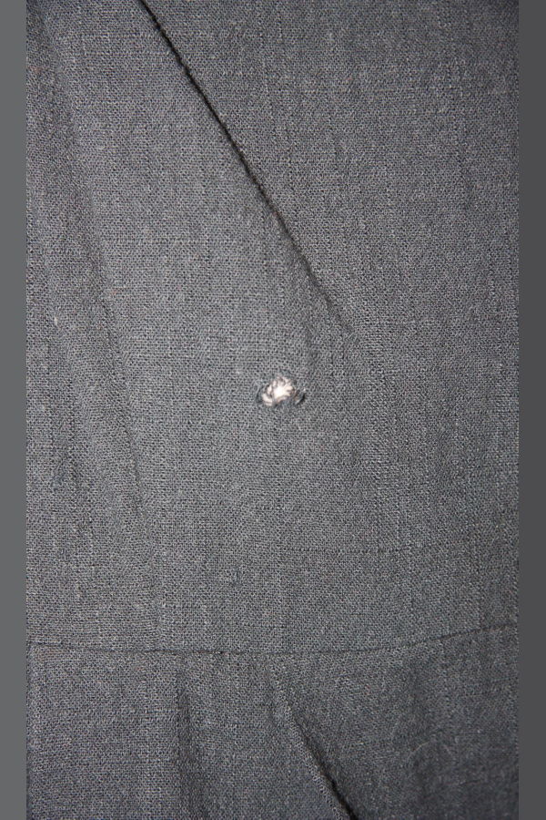 Birds of North America Marlinspike Dress