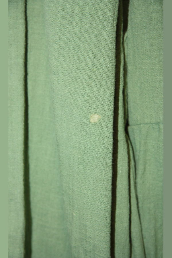 Birds of North America Marlinspike Dress