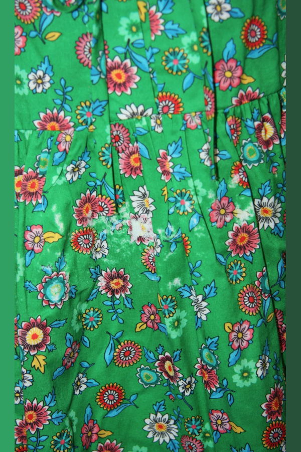 Birds of North America Corvid Strawflower Dress