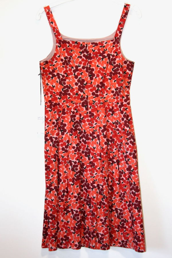 Birds of North America Reedbird Dress