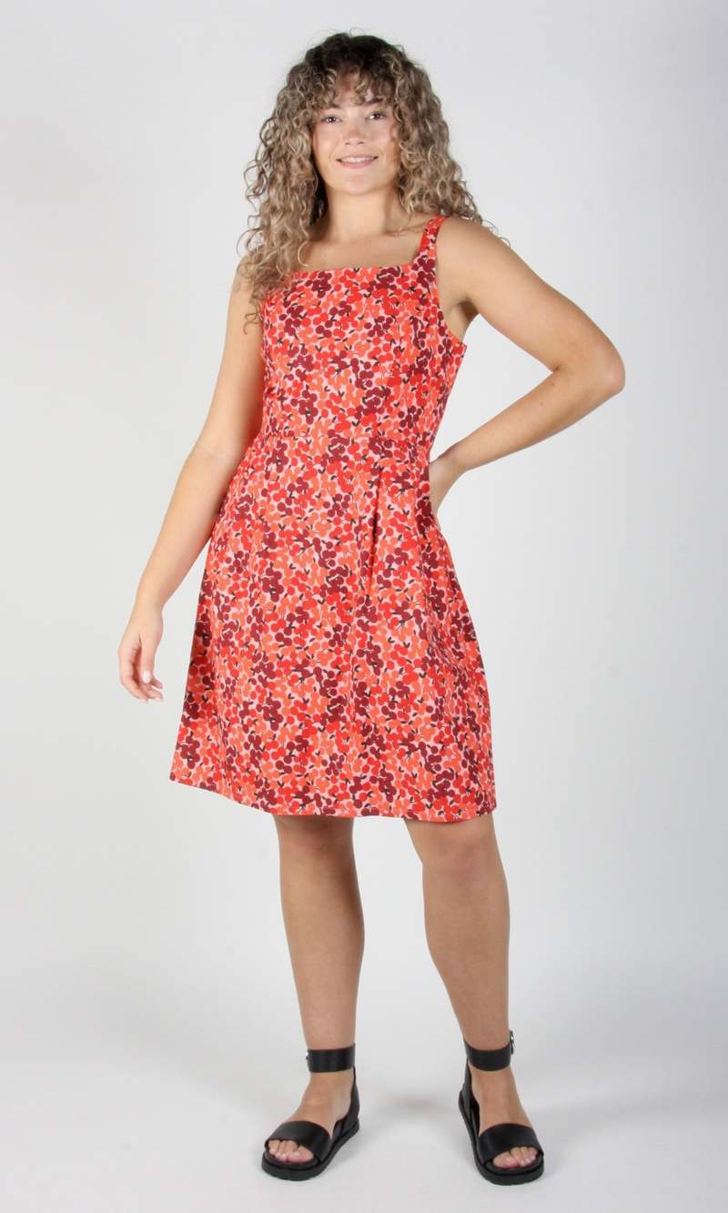 Birds of North America Reedbird Dress