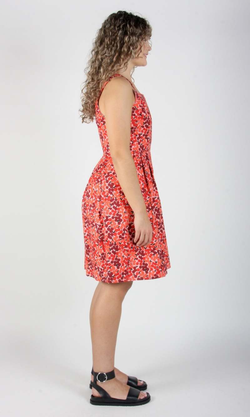 Birds of North America Reedbird Dress