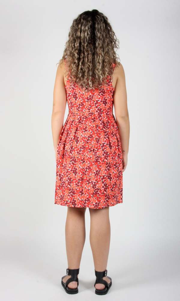 Birds of North America Reedbird Dress