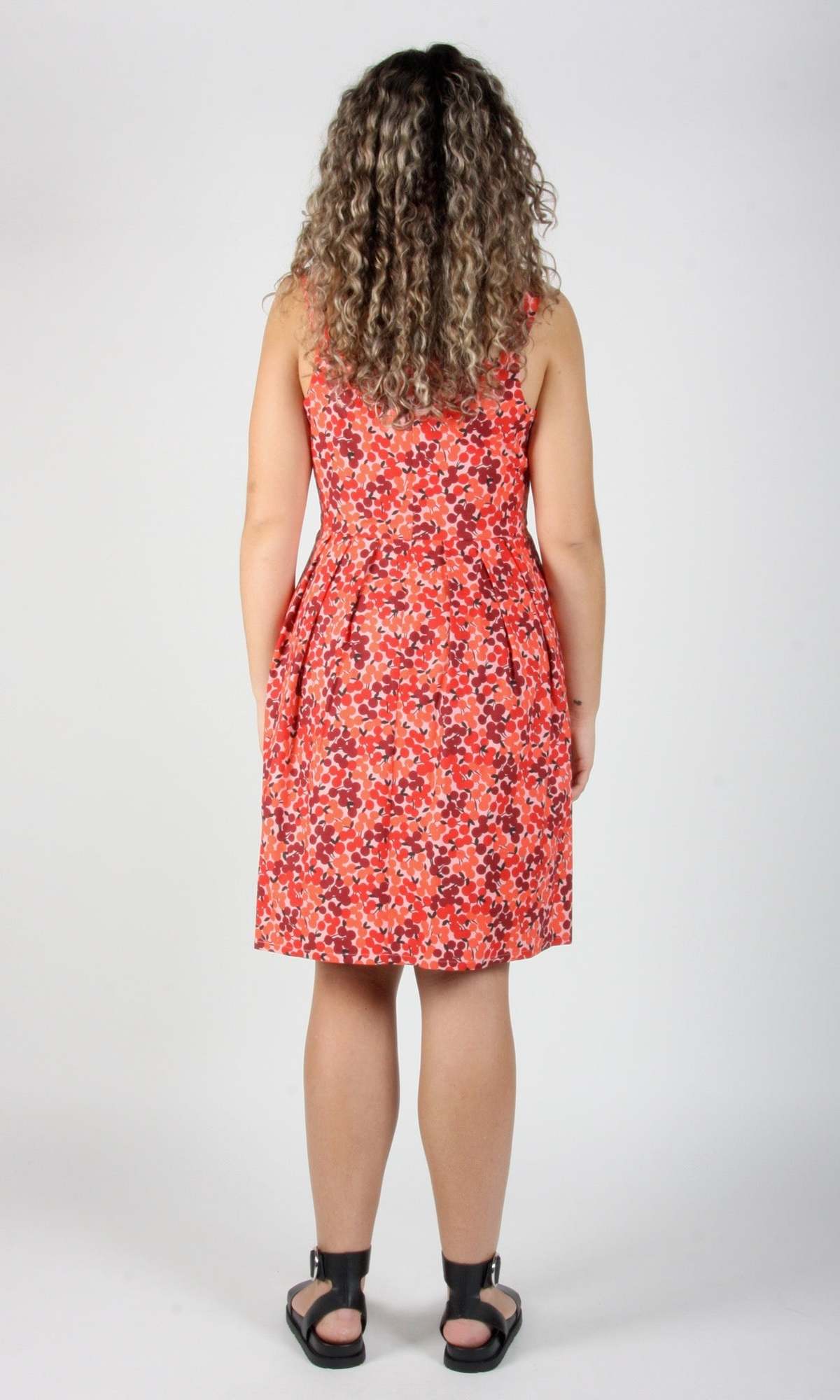 Birds of North America Reedbird Dress - Image 7 of 7