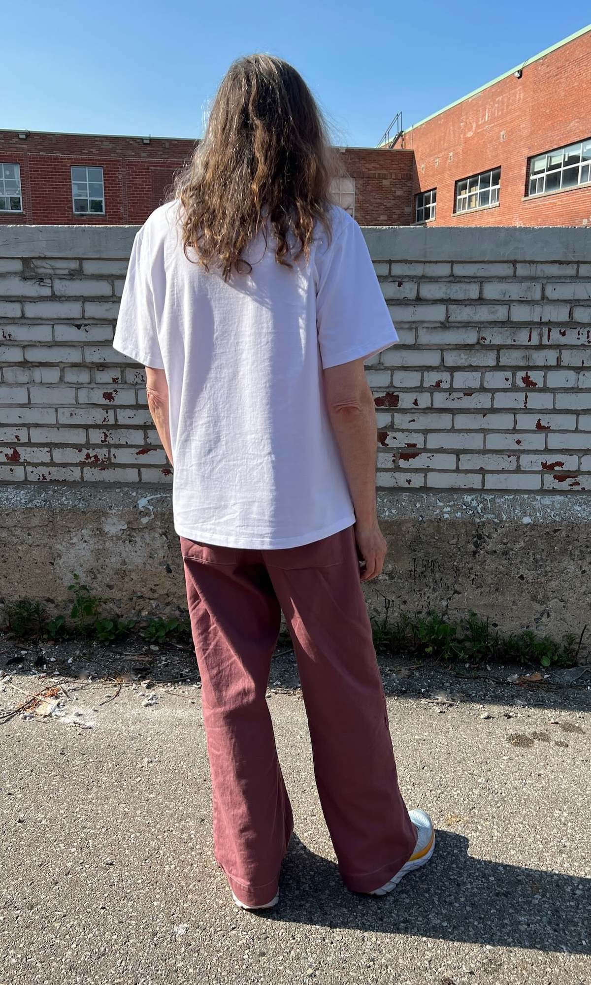 Birds of North America Beware of Dog Cropped MacCormick Tee - White - Image 10 of 10