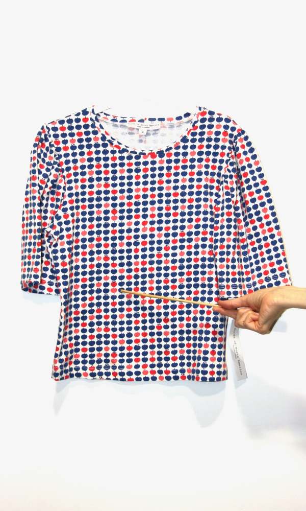 Birds of North America Peahen Top