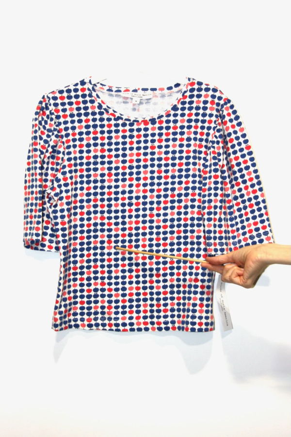 Birds of North America Peahen Top