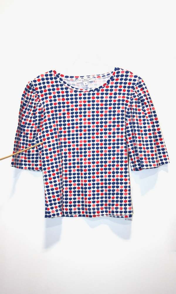 Birds of North America Peahen Top Birds of North America Peahen Top