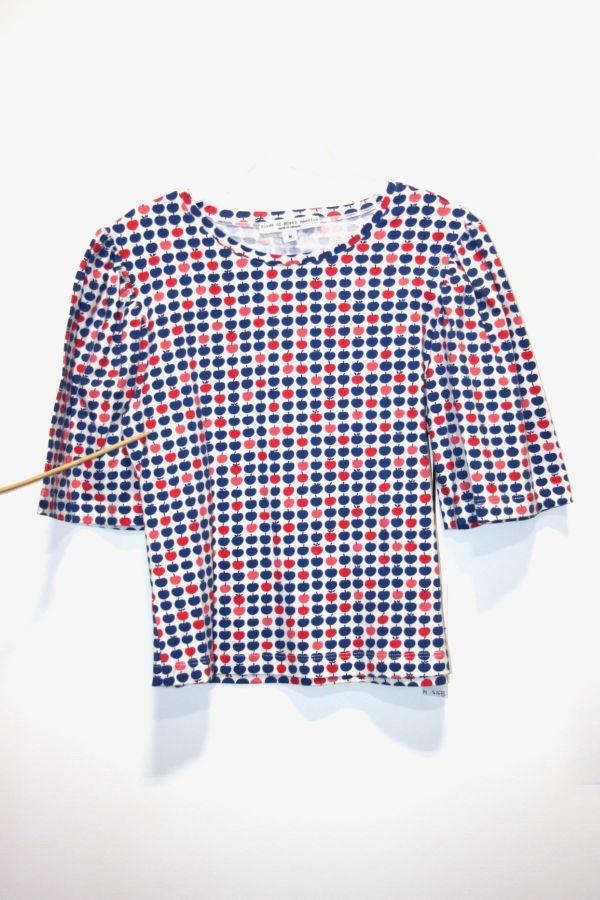 Birds of North America Peahen Top