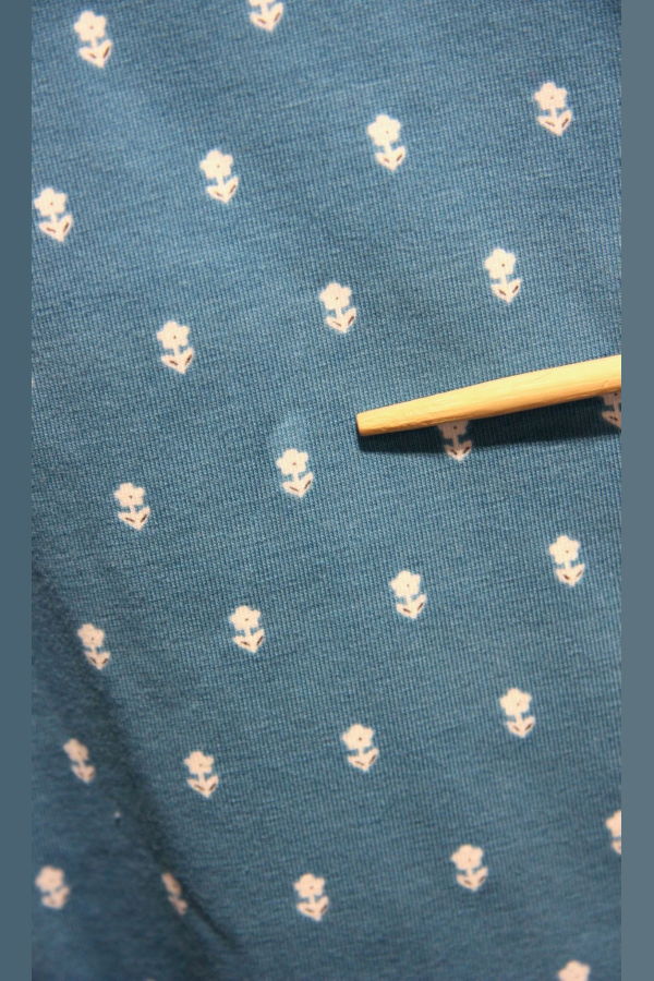 Birds of North America Peahen Top