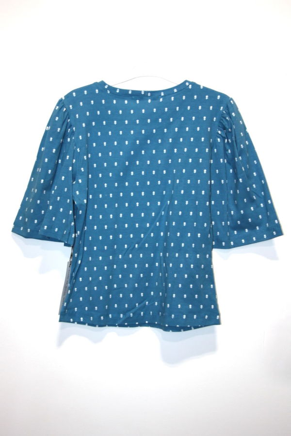 Birds of North America Peahen Top