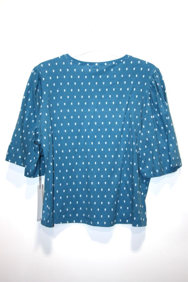 Birds of North America Peahen Top