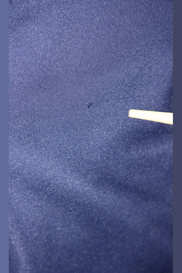 Birds of North America Tern Pant