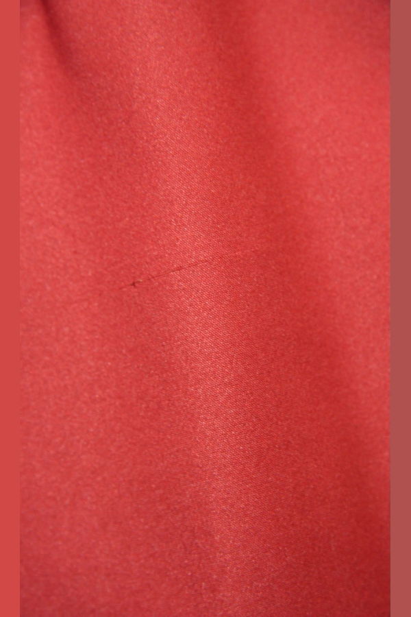 Birds of North America Tern Pant