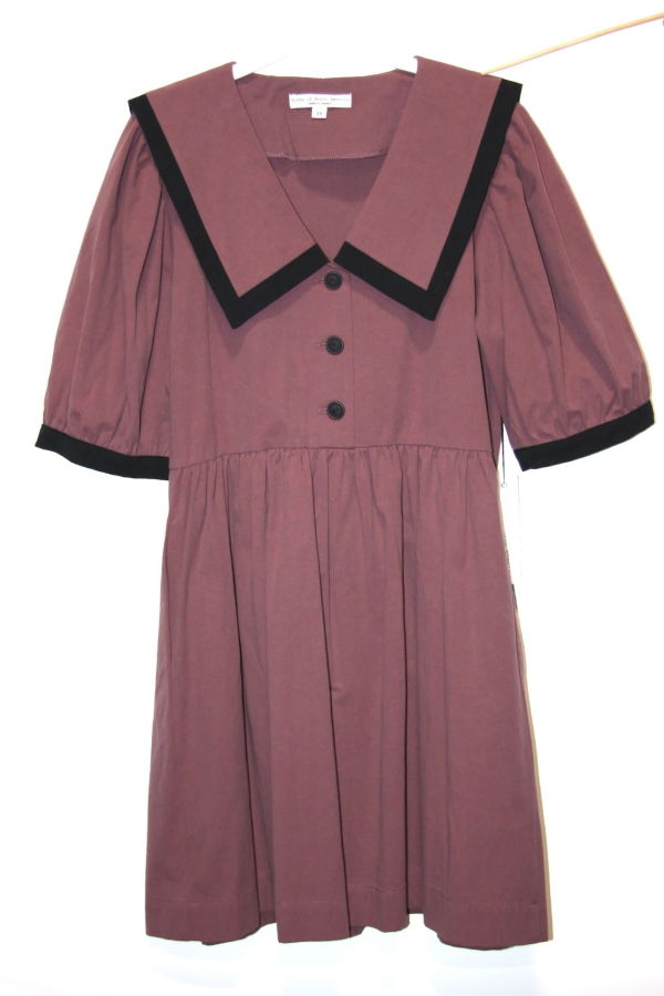 Birds of North America Fulvetta Dress