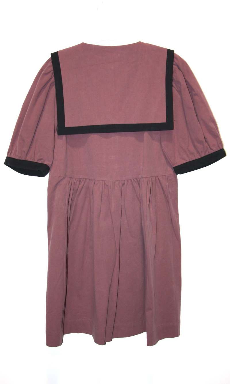 Birds of North America Fulvetta Dress