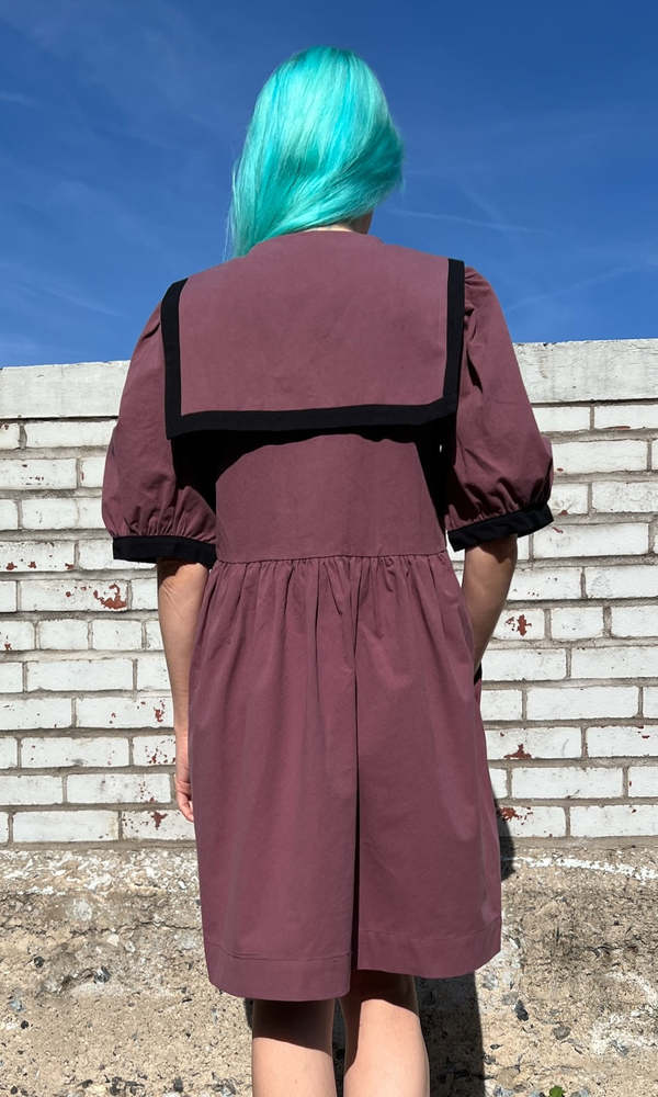 Birds of North America Fulvetta Dress