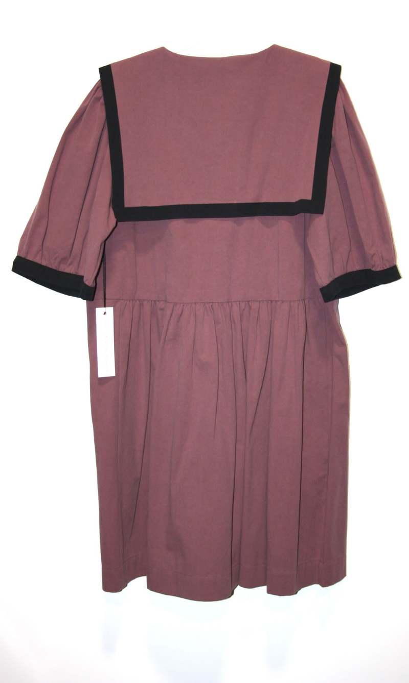 Birds of North America Fulvetta Dress