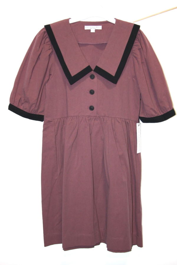 Birds of North America Fulvetta Dress